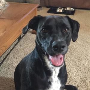 Meet your Posher, Mariah